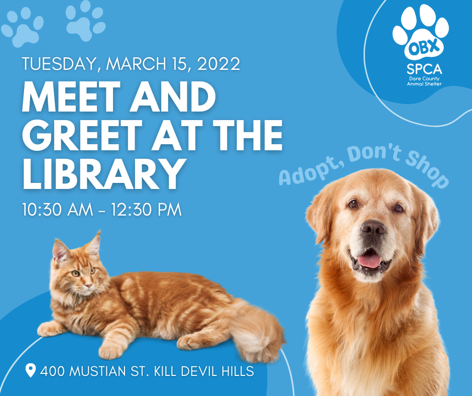 Graphic containing an orange cat and a golden retriever which reads, "Library Meet & Greet Tuesday, March 15, 2022 10:30 a.m. to 12:30 p.m. 400 Mustian St. Kill Devil Hills. Adopt Don't Shop. OBX SPCA Dare County Animal Shelter"