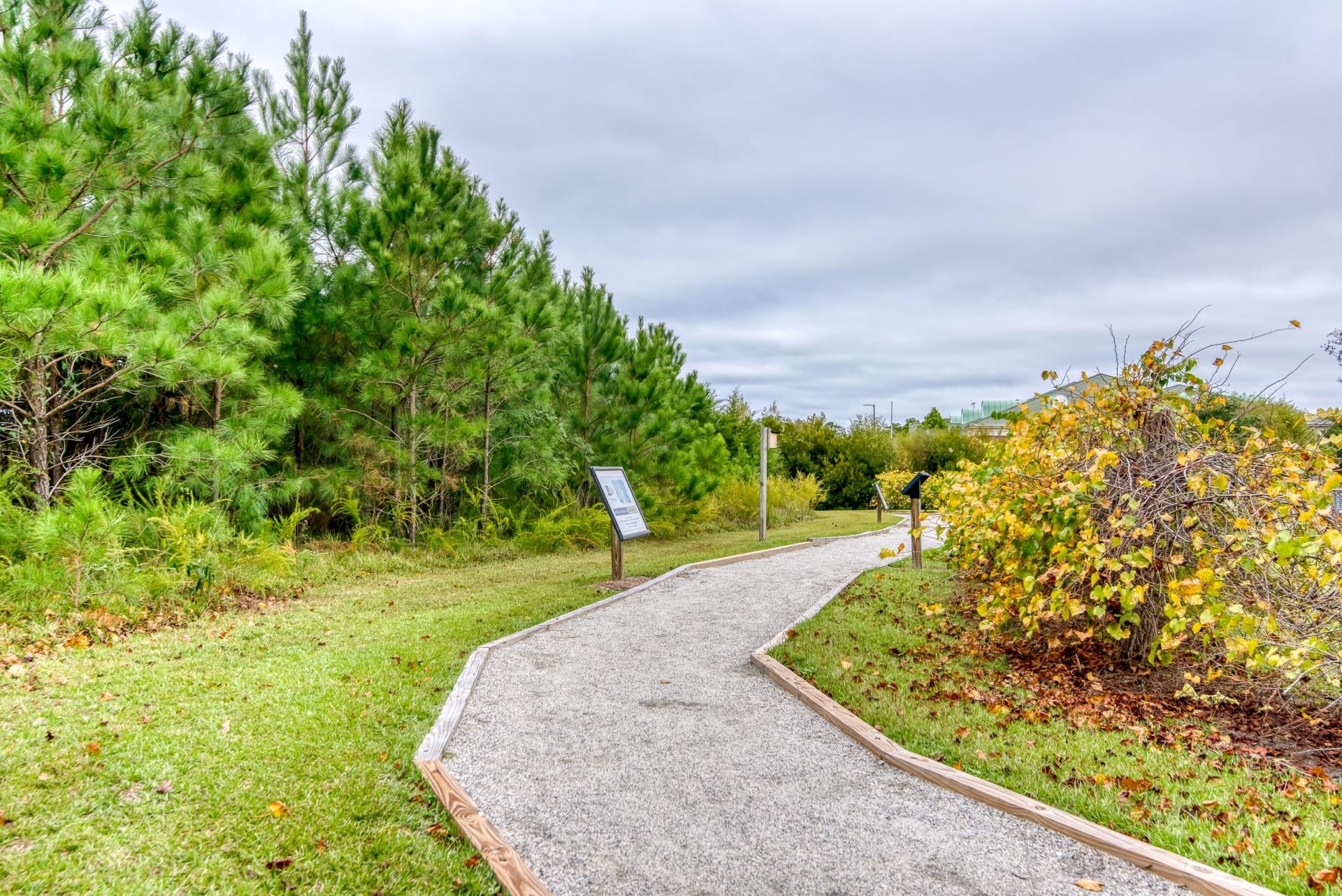 Image of a gravel pathway winding through trees and grapevines.