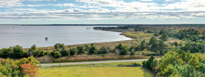 Aerial image of Stumpy Point sound and forest.