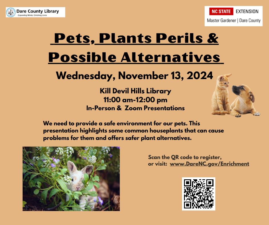 11.13 MG -  Pets, Plant Perils & Possible Alternatives